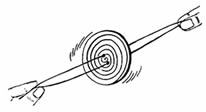 A whirligig toy.