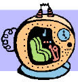 Time machine