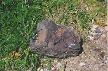 Grandad 'Lucas' Metamorphic