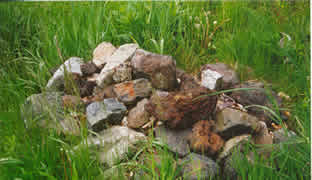 Metamorphic Family Reunion