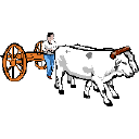 2 oxes pulling cart with person guiding on foot
